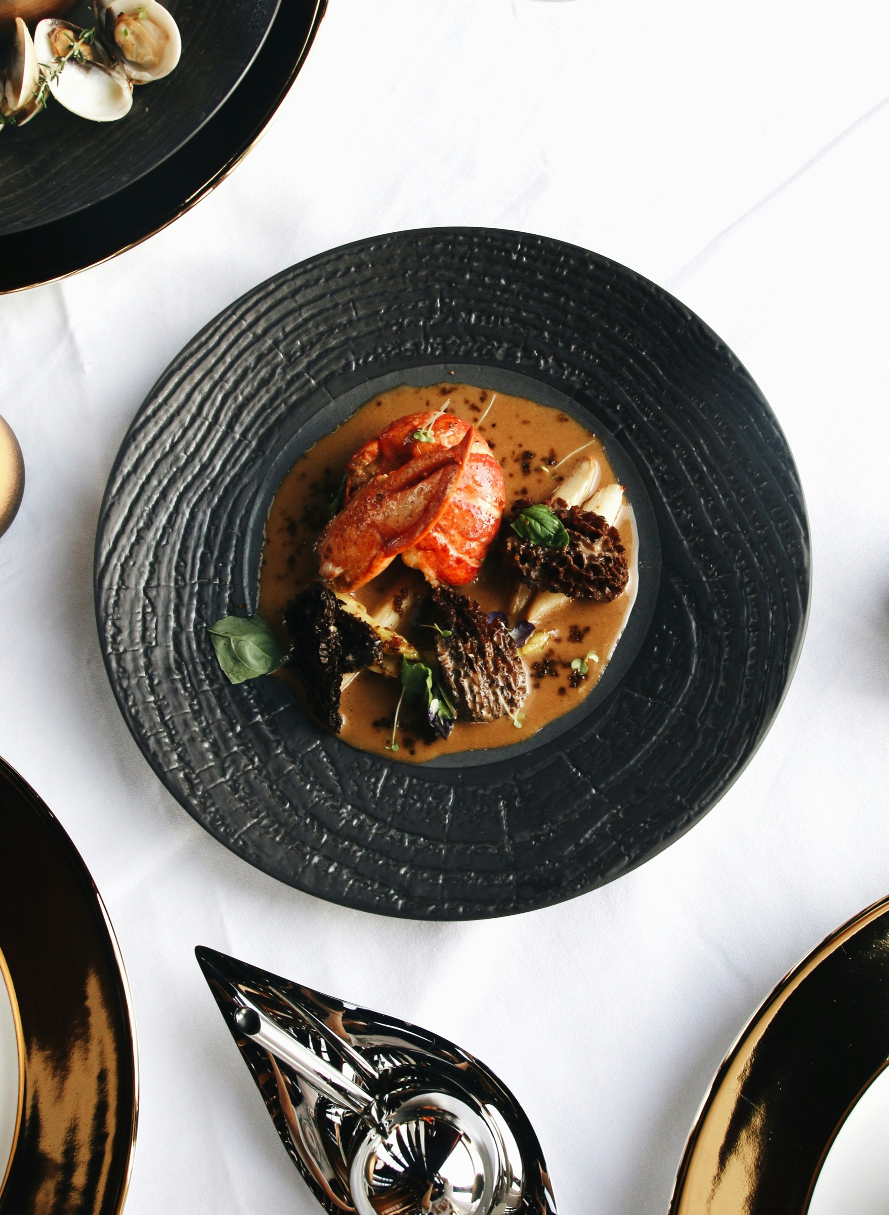 Homard aux morilles